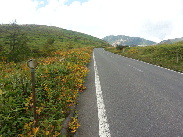 f0001993_11305671.gif
