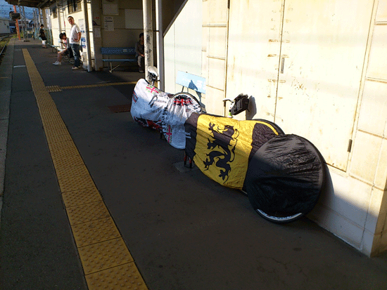 f0001993_1144425.gif