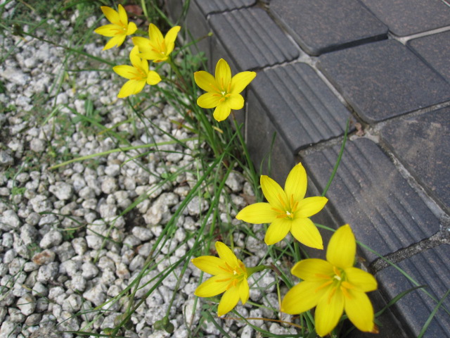 a0145798_19373389.jpg