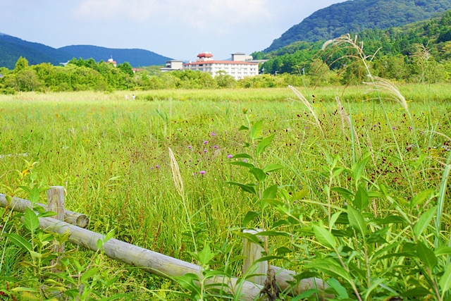 b0145398_0143920.jpg