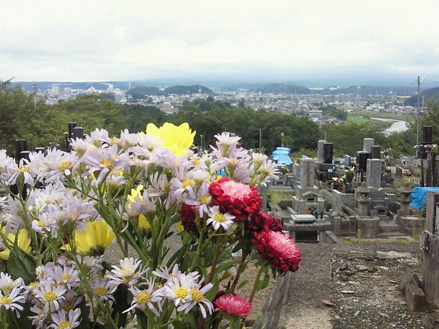 晴れてきた?!_c0140599_12305597.jpg