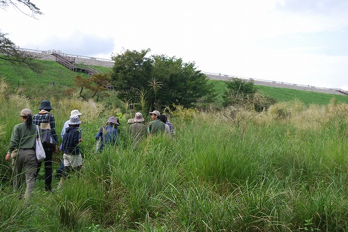 狭山公園ガイドウォーク_c0124100_235613.jpg