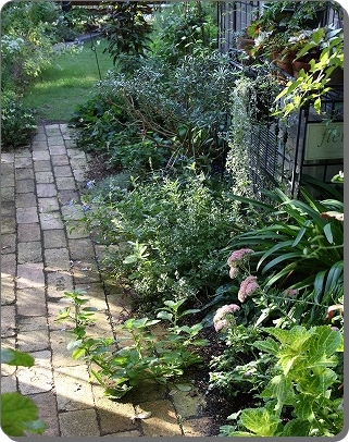 a0123003_84255.jpg