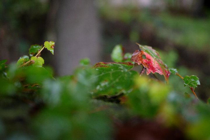 a0268412_2140187.jpg