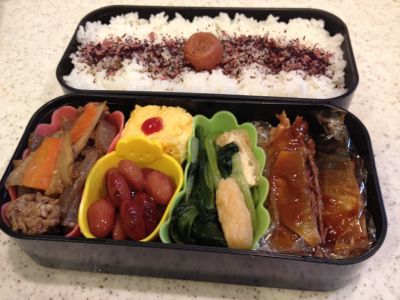 鯖の味噌煮弁当_d0125614_11472441.jpg