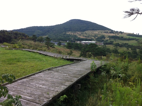 e0037314_0505639.jpg