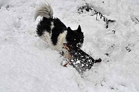 雪の日　【２２】　〜お庭遊び　２_a0094015_17414829.jpg