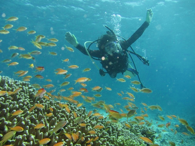 Sari Dive 初!_c0211615_2311275.jpg