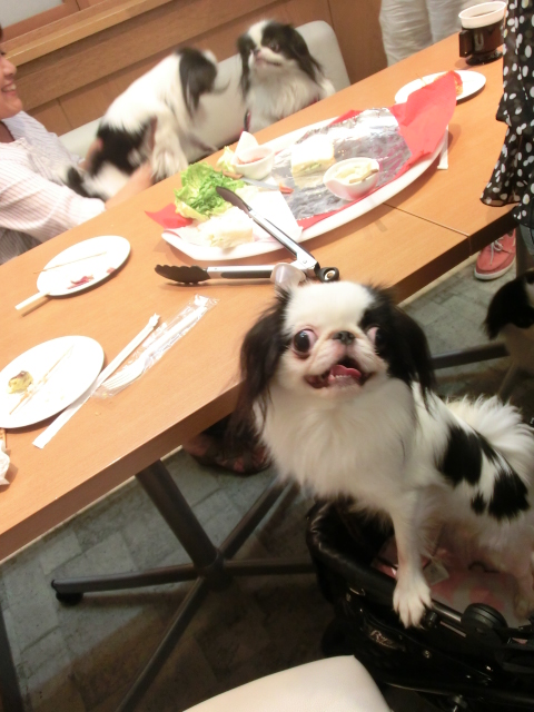 c0200916_23384266.jpg