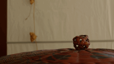 e0157816_9201515.gif