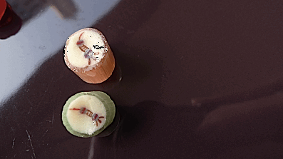 e0157816_926663.gif