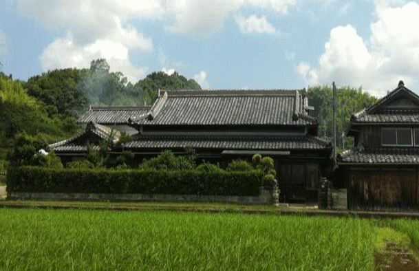 ちどりじゃむ 果物は和歌山県から_a0251920_9522053.gif