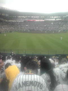 阪神観戦 ご感想頂きました!_b0224827_18173747.jpg