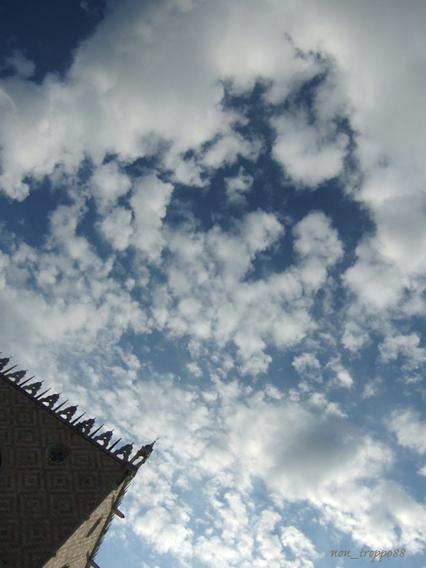 d0086329_2364324.jpg