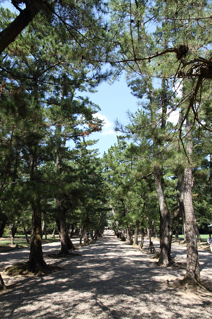 b0169330_011250.jpg