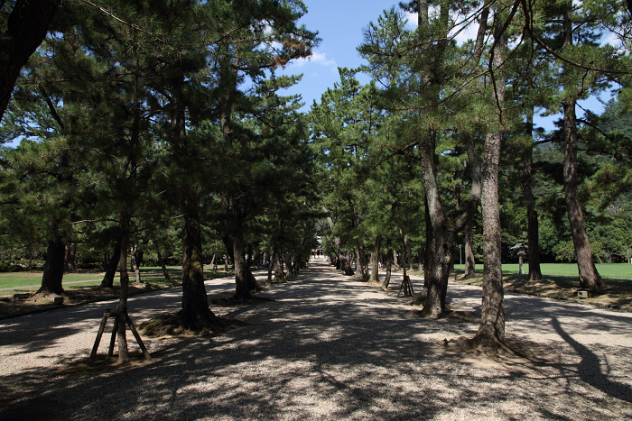 b0169330_01438.jpg