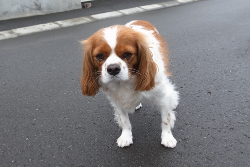 破天荒な日・・・?_c0051132_21403911.jpg