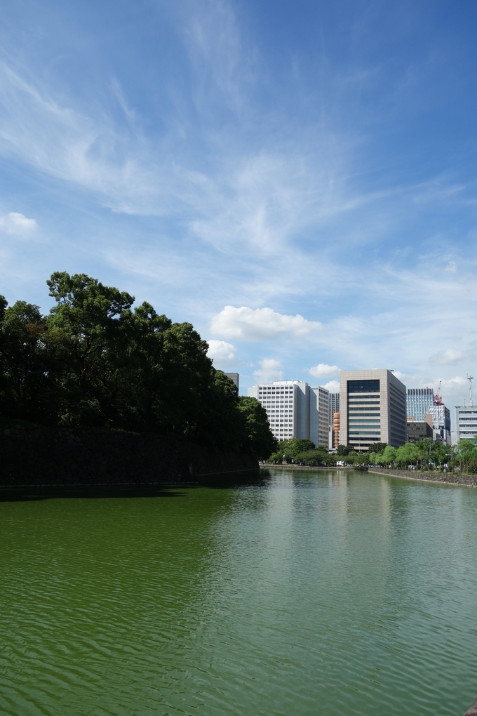 a0287336_2343571.jpg