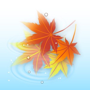 なぜ 葉っぱは紅葉するの?_b0155038_10582785.jpg