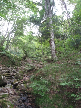 c0077338_6374677.jpg