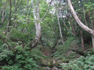 c0077338_6382437.jpg