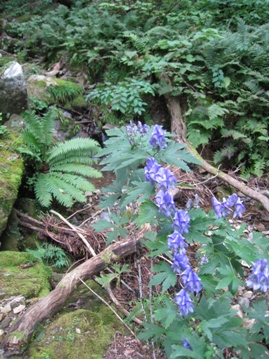 c0077338_638984.jpg
