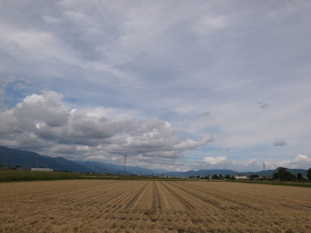 a0014840_2159086.jpg