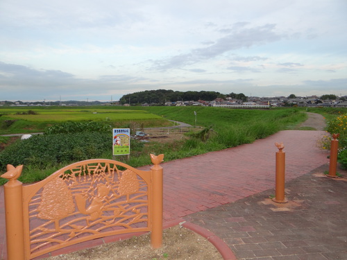 矢勝川の彼岸花の状況と家の庭_d0254540_20291727.jpg