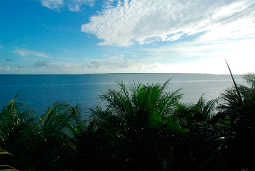 f0209740_1763165.jpg