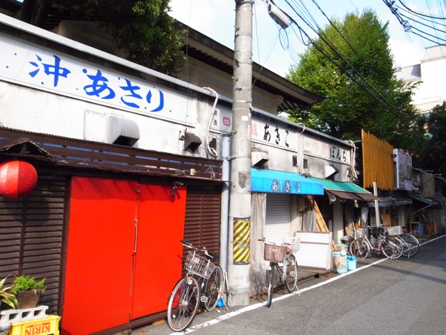 静岡という街は　意外と山に囲まれているのに気づいて驚いた。_d0057843_8333911.jpg