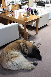 e0023643_23311068.jpg