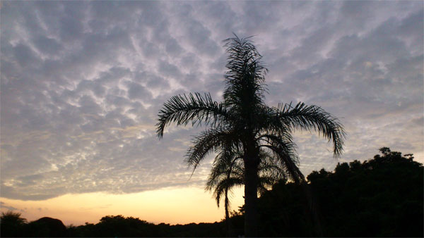 f0229844_0373783.jpg
