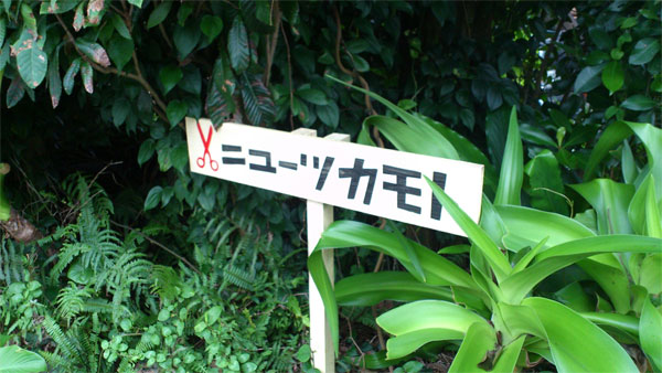 f0229844_0392397.jpg
