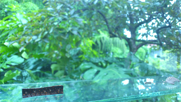 f0229844_0434860.jpg
