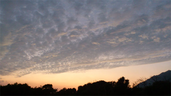 f0229844_2323977.jpg