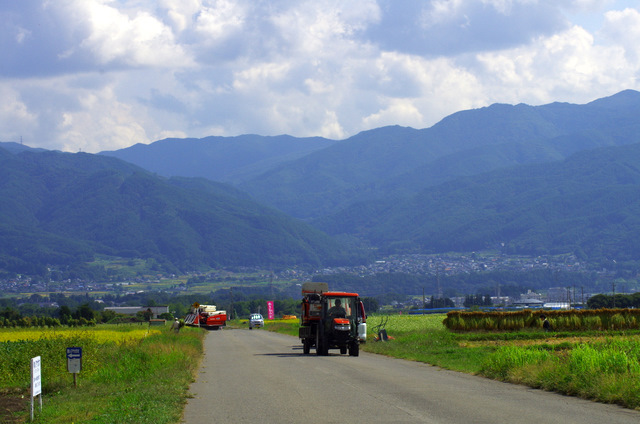 d0186245_1563516.jpg