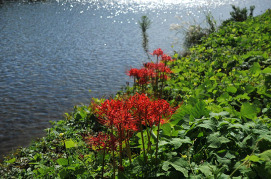 c0093046_10524921.jpg