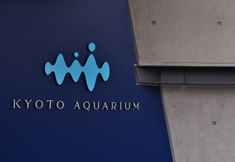 kyoto aquarium._d0227246_21173872.jpg