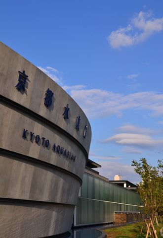 kyoto aquarium._d0227246_21174251.jpg