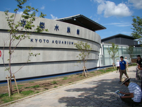 京都水族館へ_e0291149_221466.jpg