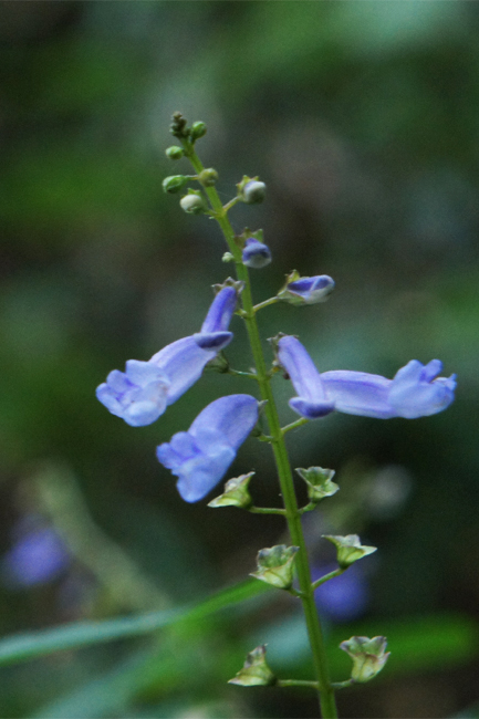 f0214649_15562028.jpg