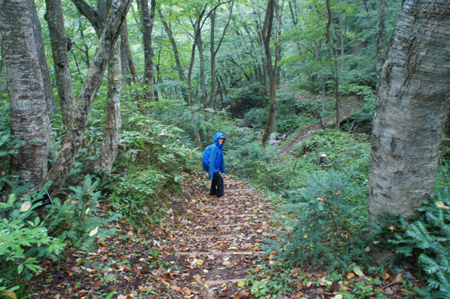 f0214649_1615010.jpg