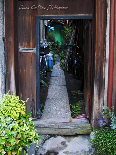 b0133053_0135726.jpg