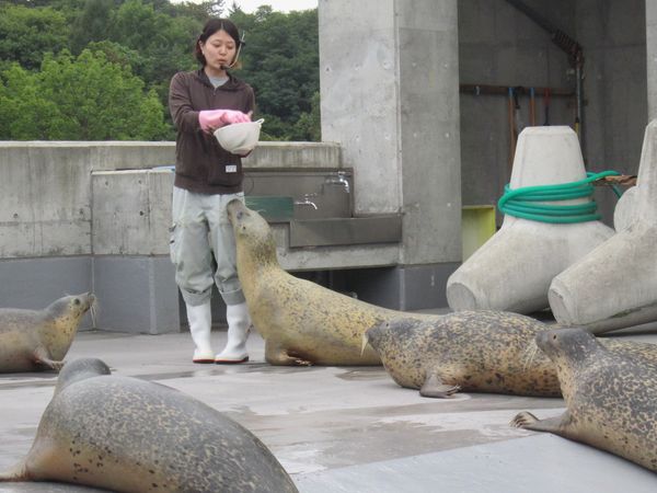 北海道９日間①　旭山動物園_f0066555_1320462.jpg