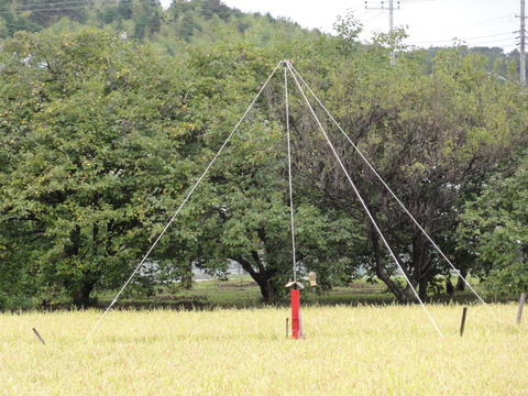 田んぼの鳥よけ 手作り自慢 田んぼの鳥よけ 手作り自慢