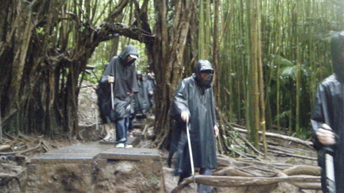 MANOA FALLS TRAIL_a0132260_1449343.jpg