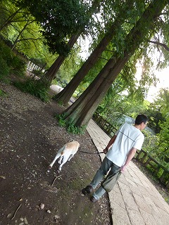 with dog  秋の石神井公園♪_a0165160_6344990.jpg