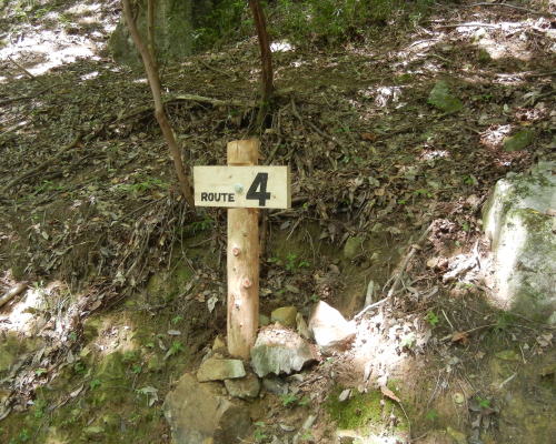 b0129962_18155541.jpg