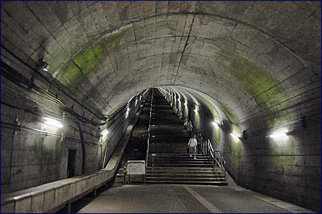 b0053765_15241268.jpg