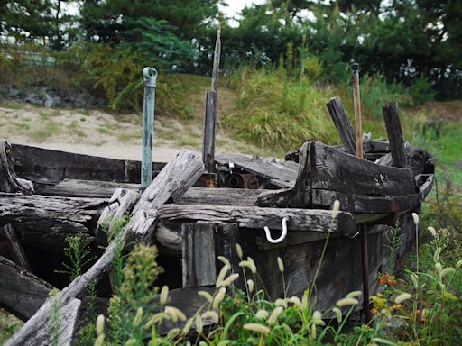 浜寺公園（はまでらこうえん）散歩写真_c0191967_21205313.jpg